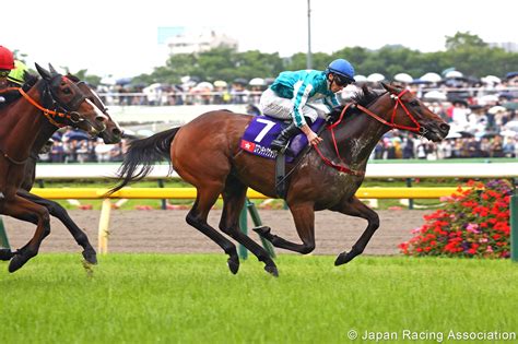 wolverhampton horse racing results|Wolverhampton Horse Racing Results .